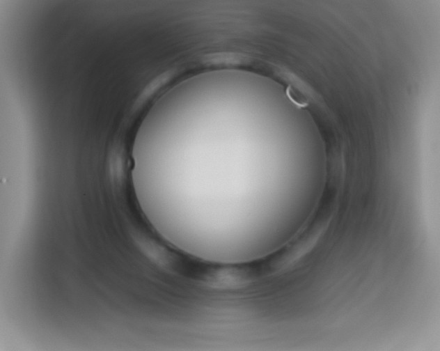 X0000113750064200910071114