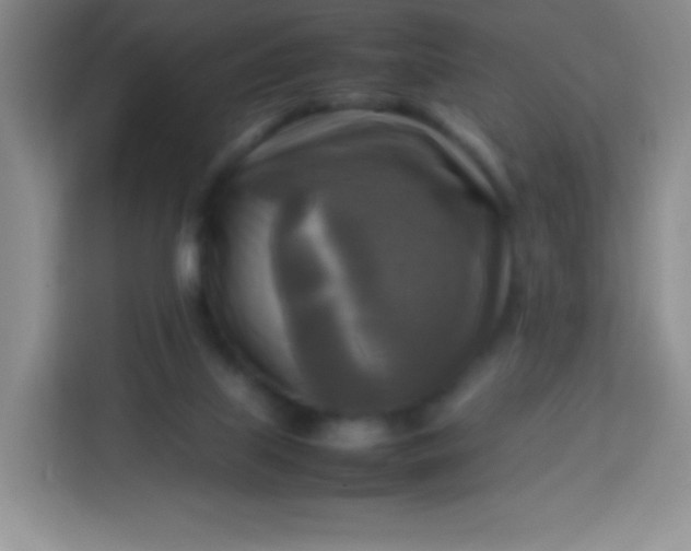 X0000113750067200910071114