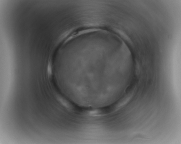 X0000113750068200910071114