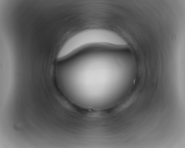 X0000113750072200910071114