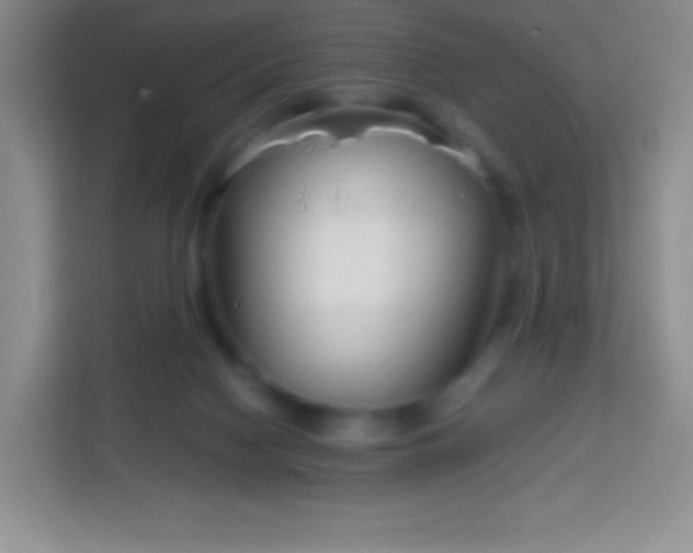 X0000113750074200910071114