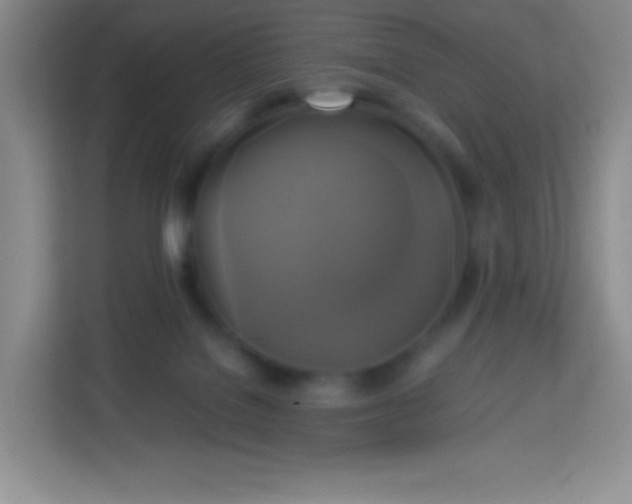 X0000113750076200910071114