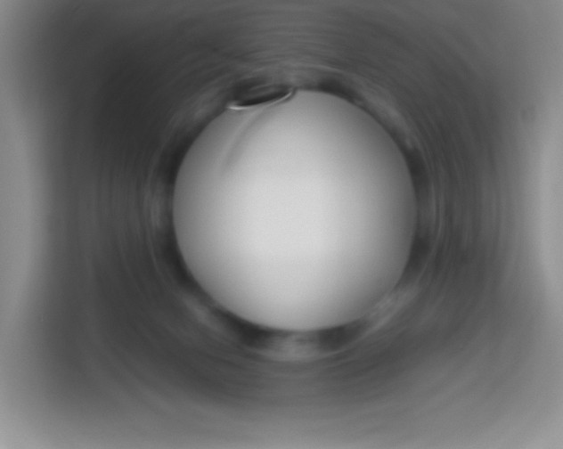 X0000113750078200910071114