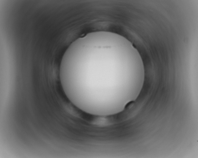 X0000113750083200910071114