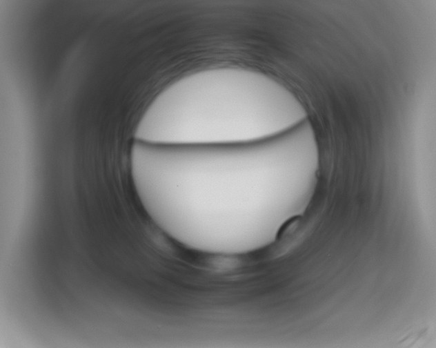 X0000113750085200910071114