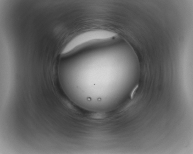 X0000113750088200910071114