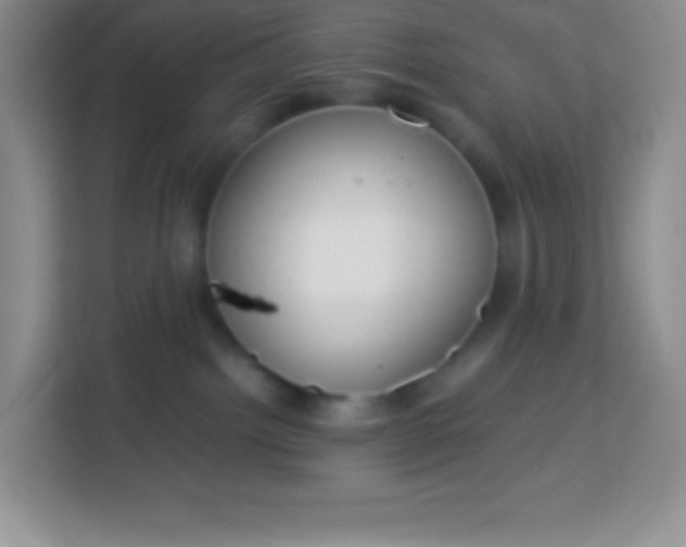 X0000113750092200910071115