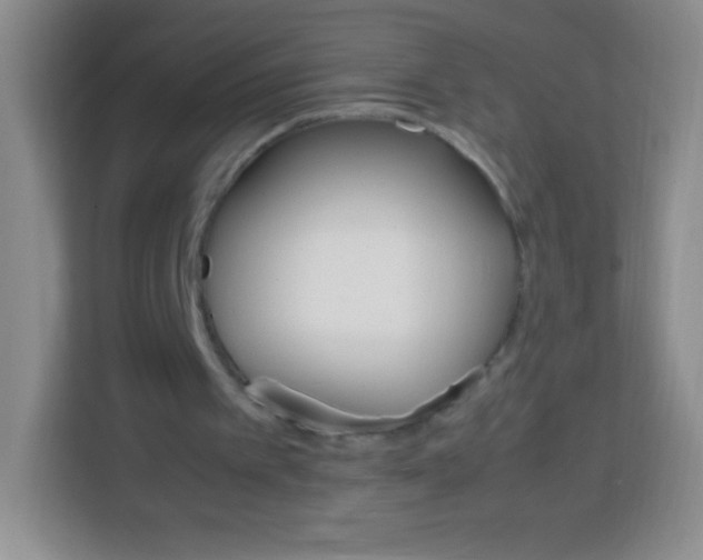 X0000113750097200910071114