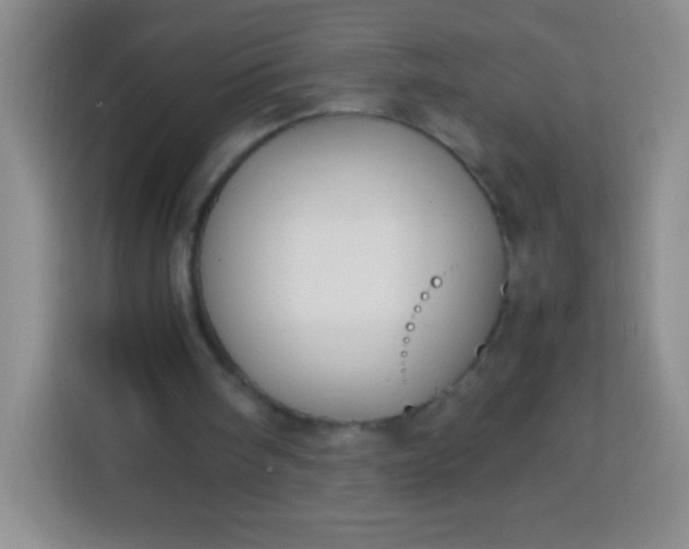 X0000113750098200910071114