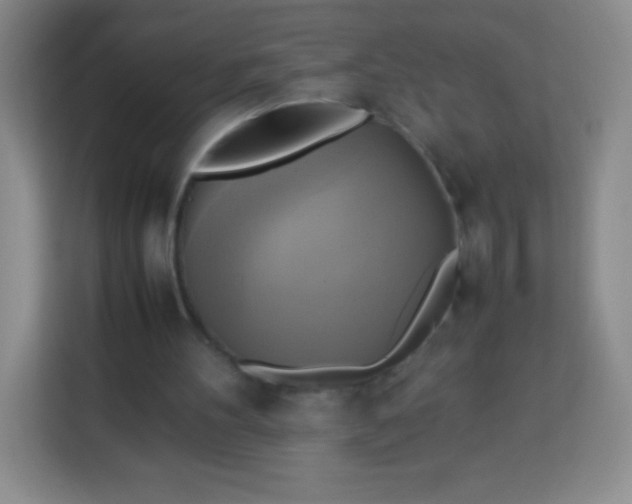 X0000113750100200910071114