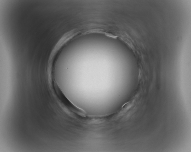 X0000113750101200910071114