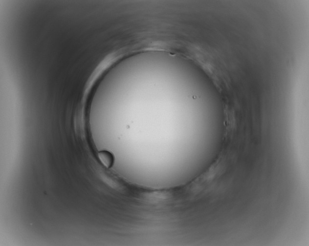 X0000113750102200910071114