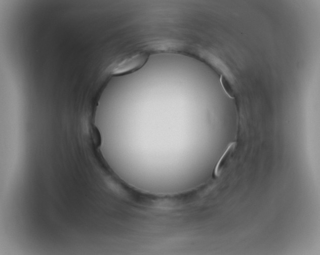 X0000113750105200910071114