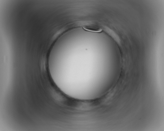 X0000113750107200910071114