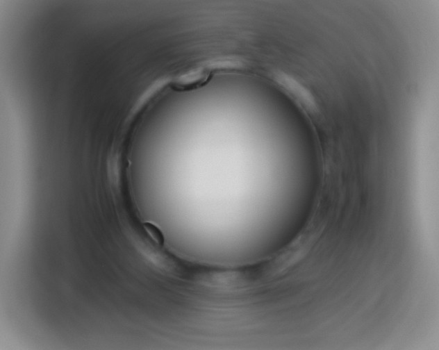 X0000113750108200910071114