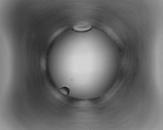 X0000113750112200910071114