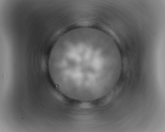 X0000113750114200910071114