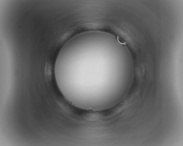 X0000113750115200910071114