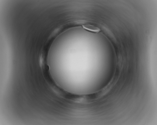 X0000113750116200910071114