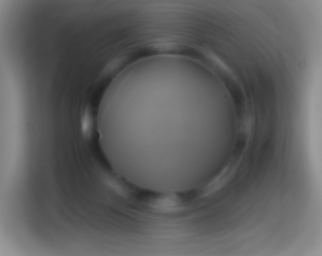 X0000113750124200910071114