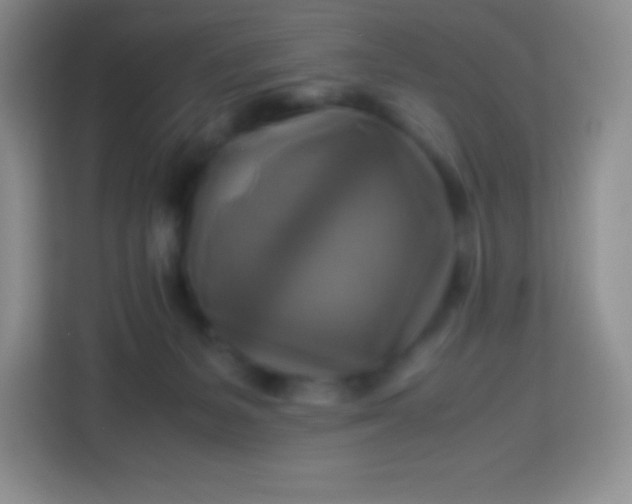 X0000113750127200910071114