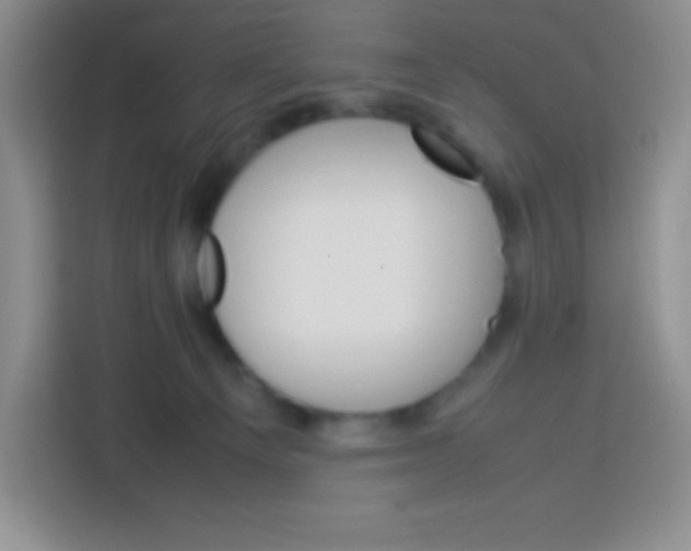 X0000113750129200910071114