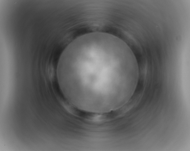 X0000113750130200910071114