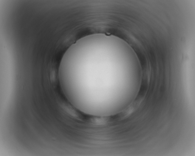 X0000113750134200910071113