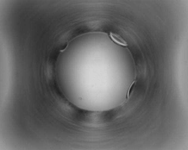 X0000113750136200910071113