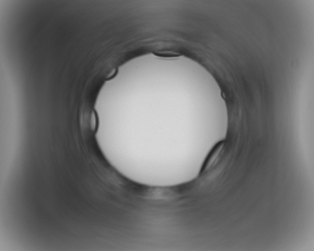 X0000113750137200910071113