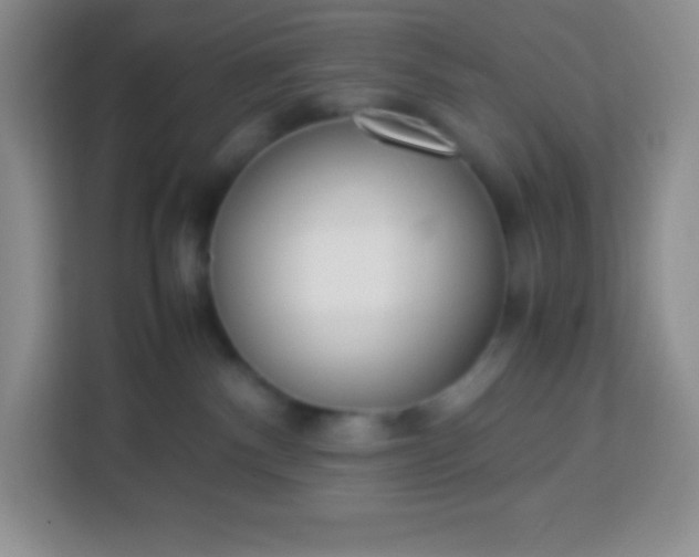 X0000113750140200910071113