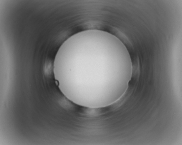 X0000113750142200910071113