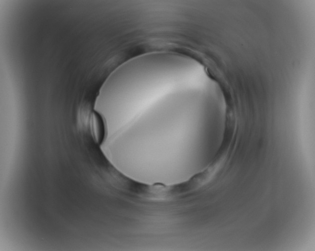 X0000113750143200910071113