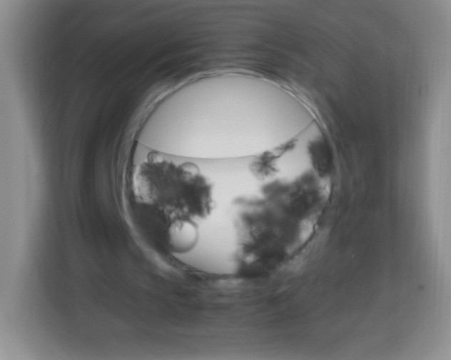 X0000113750145200910071113