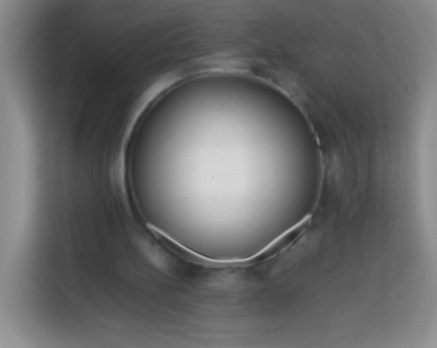 X0000113750148200910071113