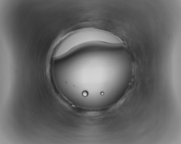 X0000113750150200910071113