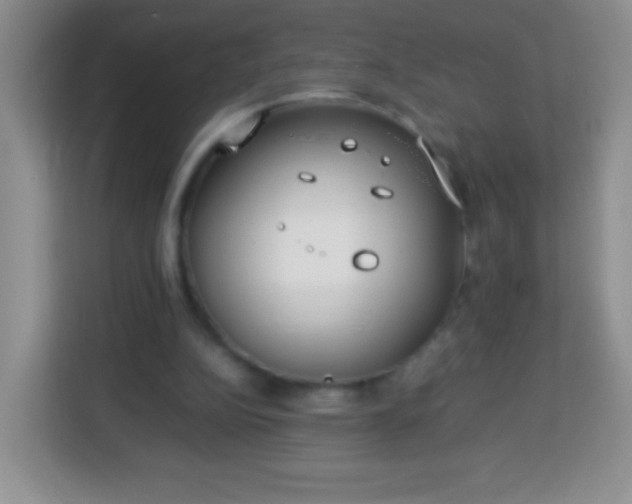 X0000113750152200910071113