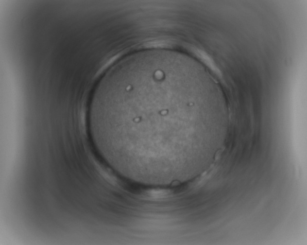 X0000113750154200910071113