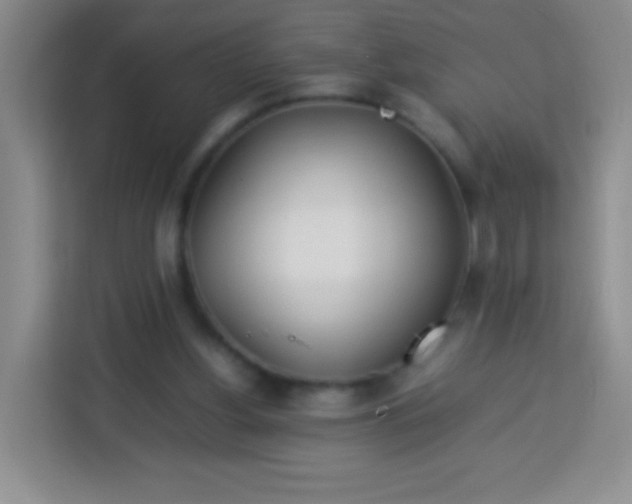 X0000113750156200910071113