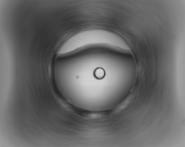 X0000113750158200910071113