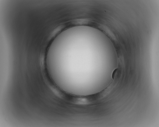 X0000113750159200910071113