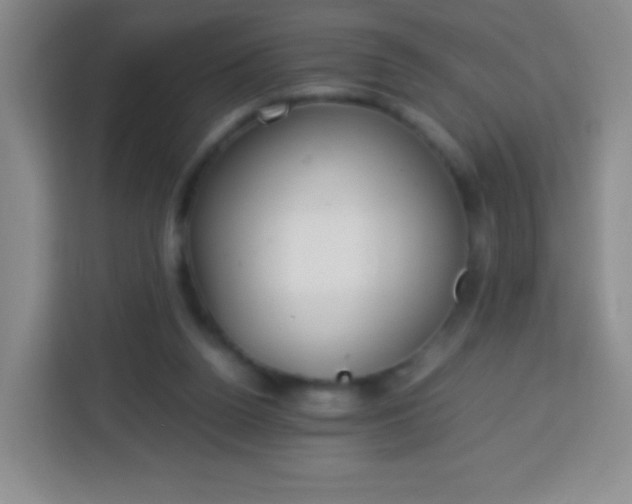 X0000113750160200910071113