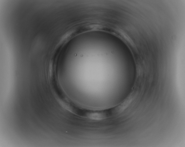 X0000113750163200910071113