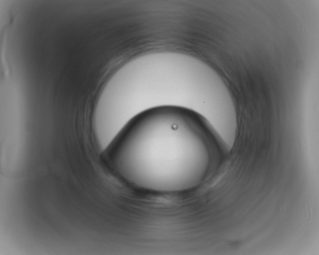 X0000113750164200910071113