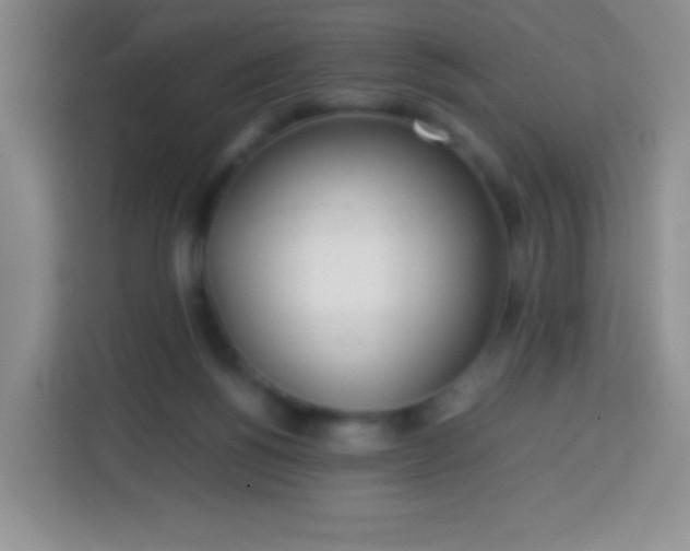 X0000113750168200910071113