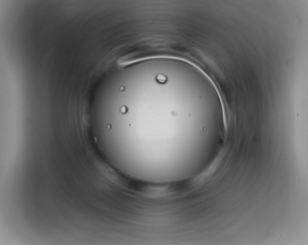 X0000113750170200910071113