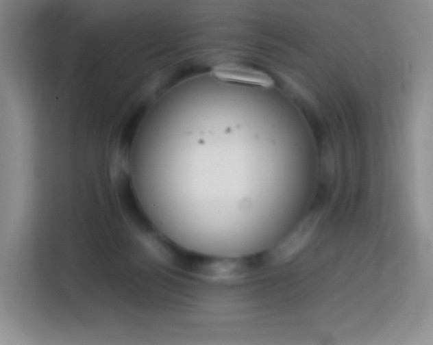 X0000113750172200910071113