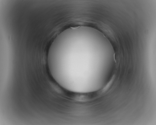 X0000113750174200910071113