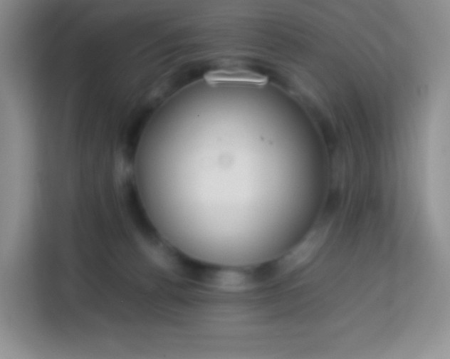 X0000113750176200910071113