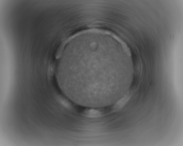 X0000113750180200910071113